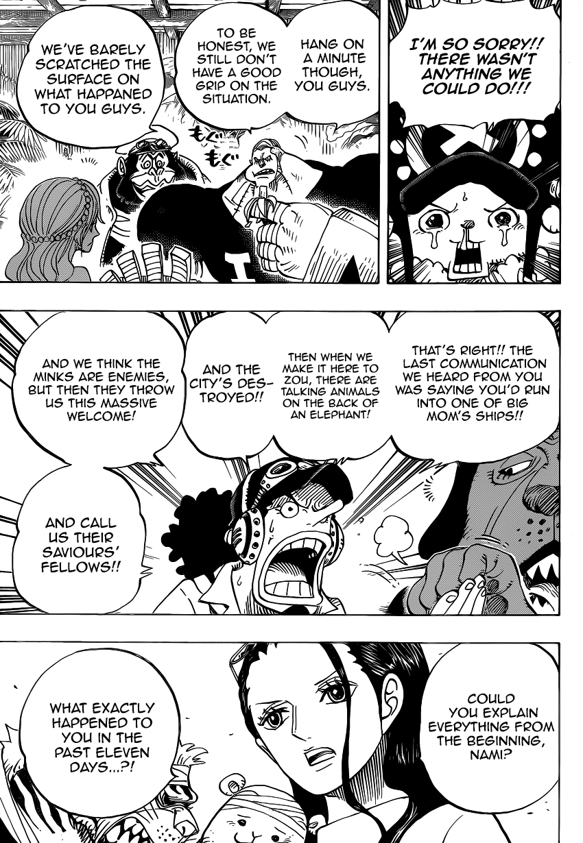 One Piece, Chapter 807 image 07